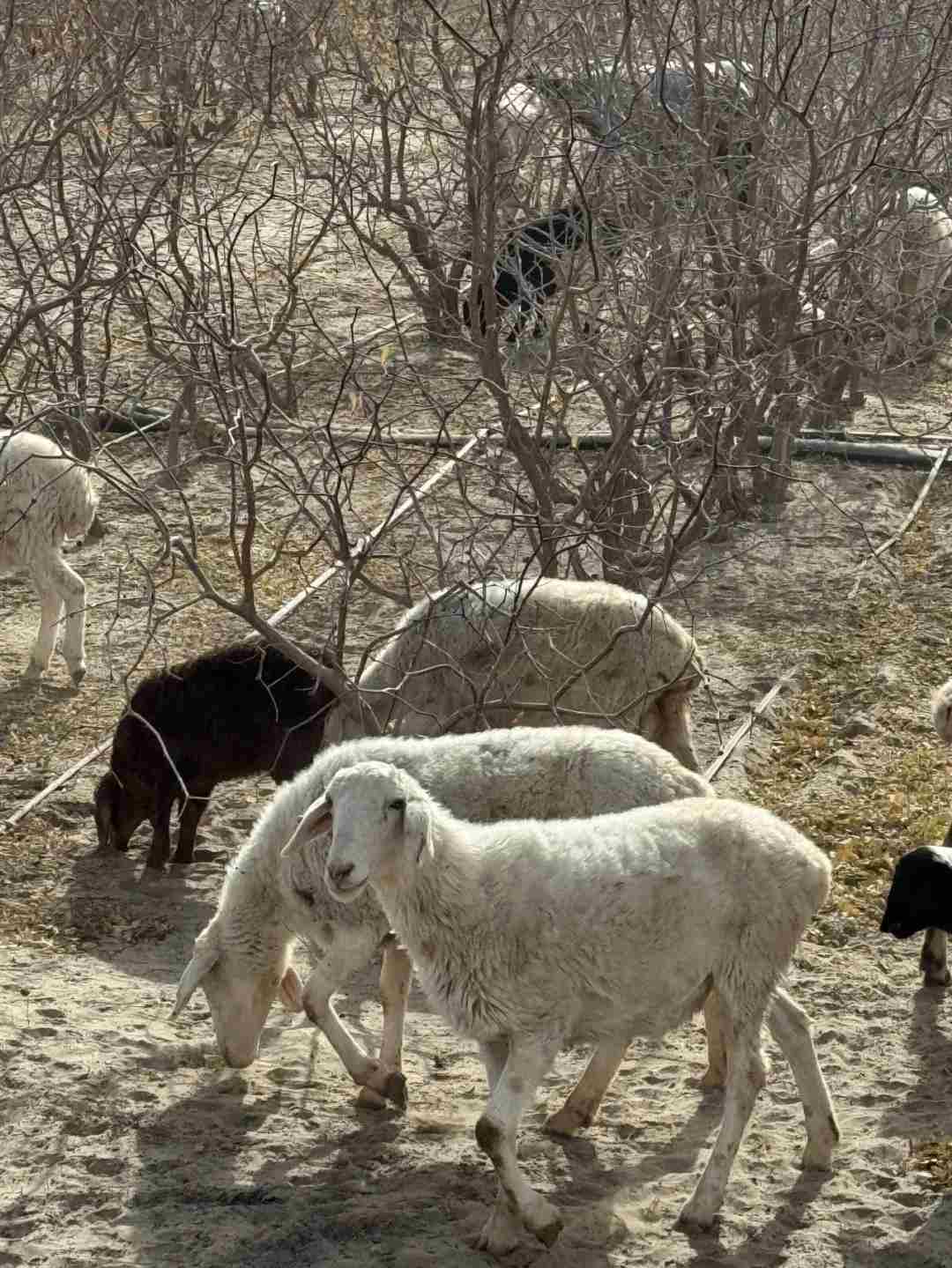 创业不等于开公司~
