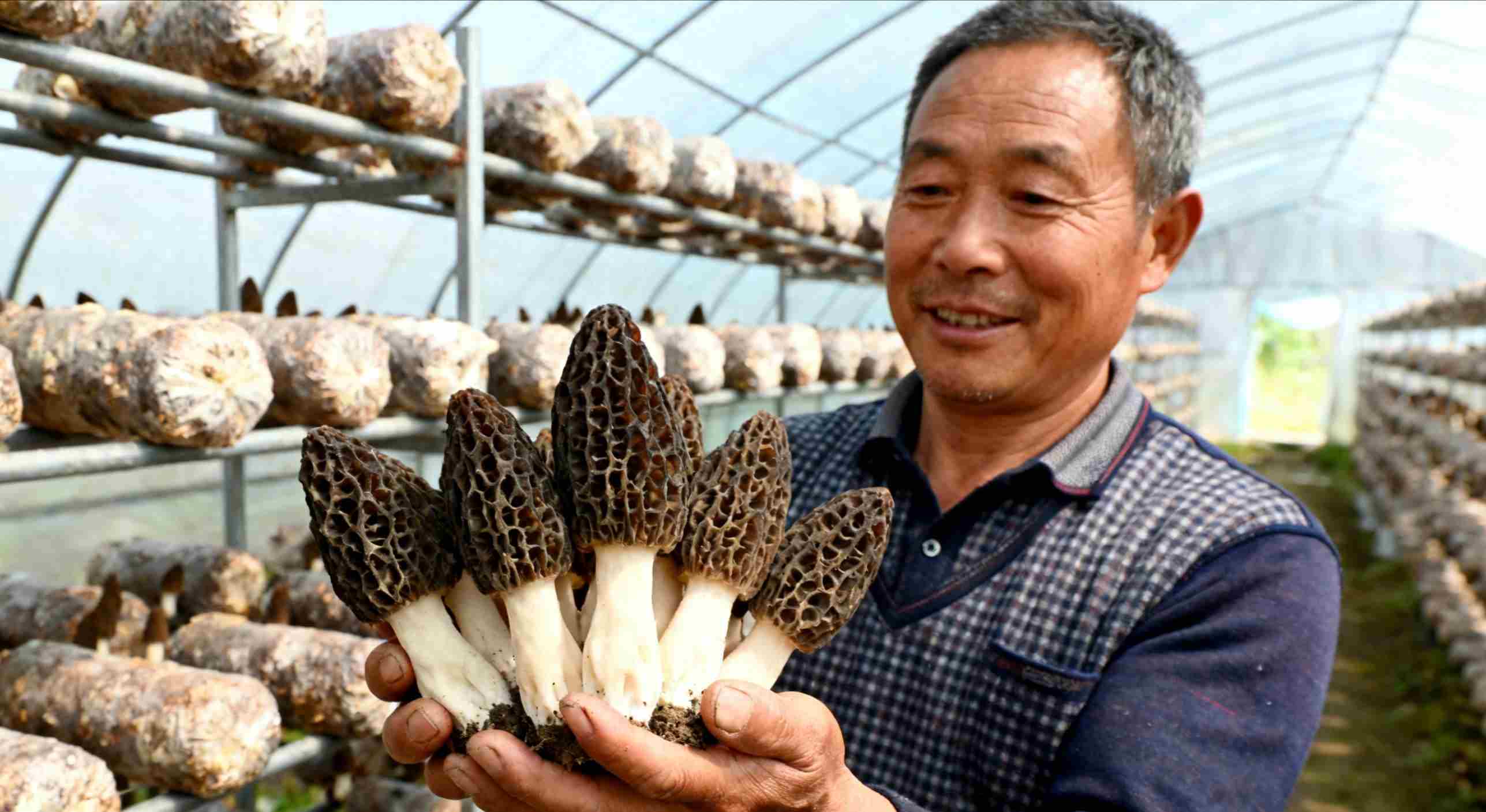 返乡创业别盲目！这4个特色种植项目，亩利润超2万，附技术要点