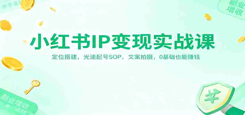 小红书IP变现实战课：定位搭建，光速起号SOP，文案拍摄，0基础也能赚钱