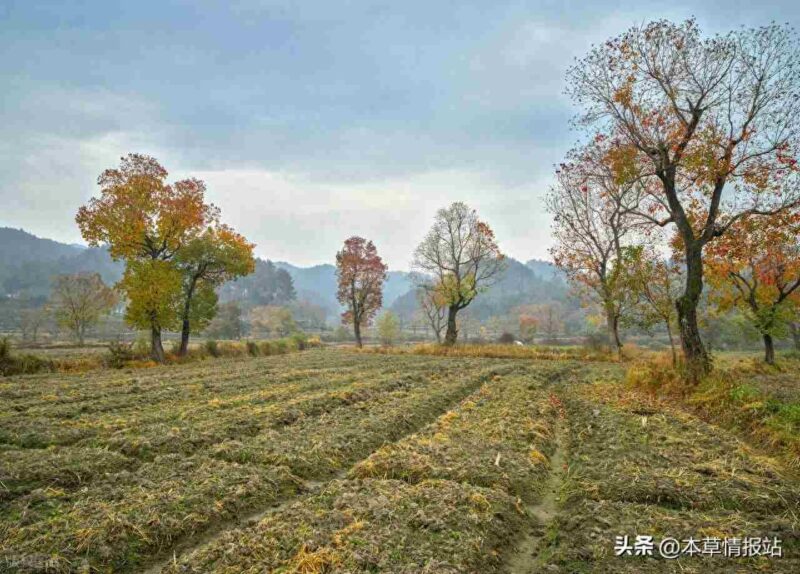 返乡创业新风口!这15个家庭作坊项目,补贴+电商,躺赚不是梦!-中创网,冒泡网,福缘网创业项目大全-创安网