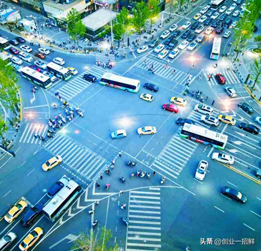 致富机械创业项目大全：正是因为选择困难，草莓西兰花才特别赚钱
