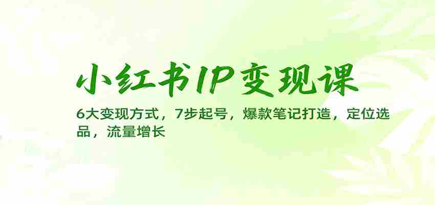 小红书IP变现课：6大变现方式，7步起号，爆款笔记打造，定位选品，流量增长