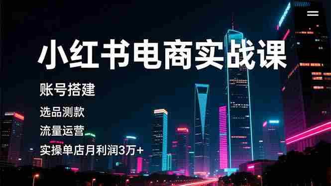 （16615期）小红书电商实战课，账号搭建，选品测款，流量运营，实操月利润3万+