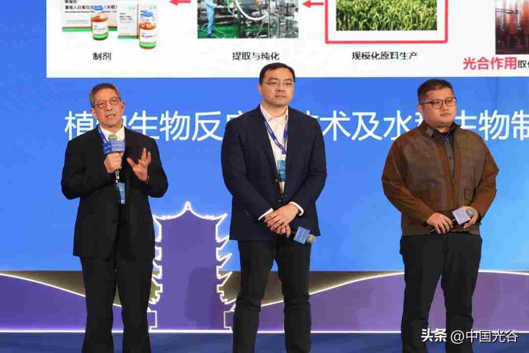 第二十五届华创会光谷开幕，10个海外高层次人才创业项目落地