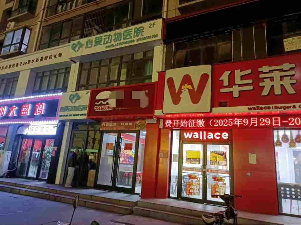 民间创业仙人，一拳打碎发财梦