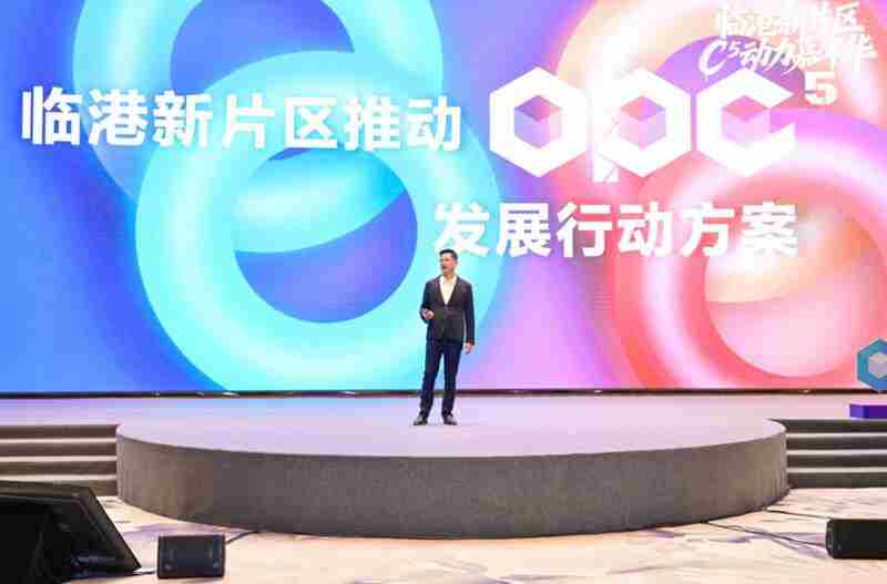 上海临港邀请“超级个体”来创业，拿出哪些“诚意”？