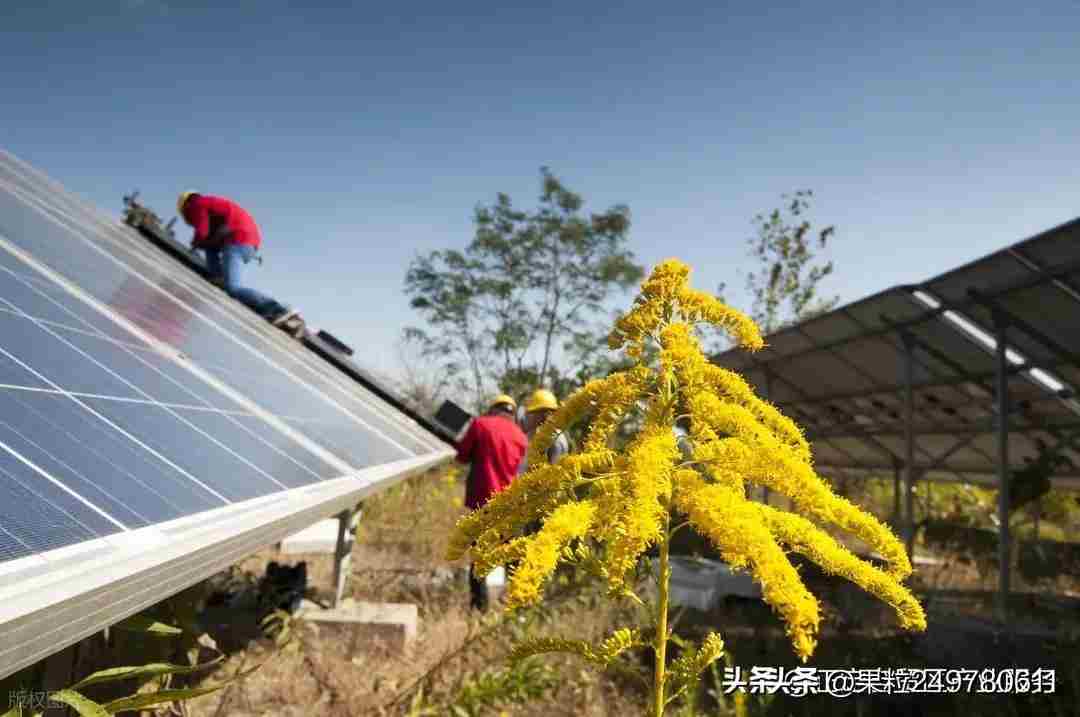 2026 年适合普通人的 8 个创业黄金项目：十五五开局之年的财富密码