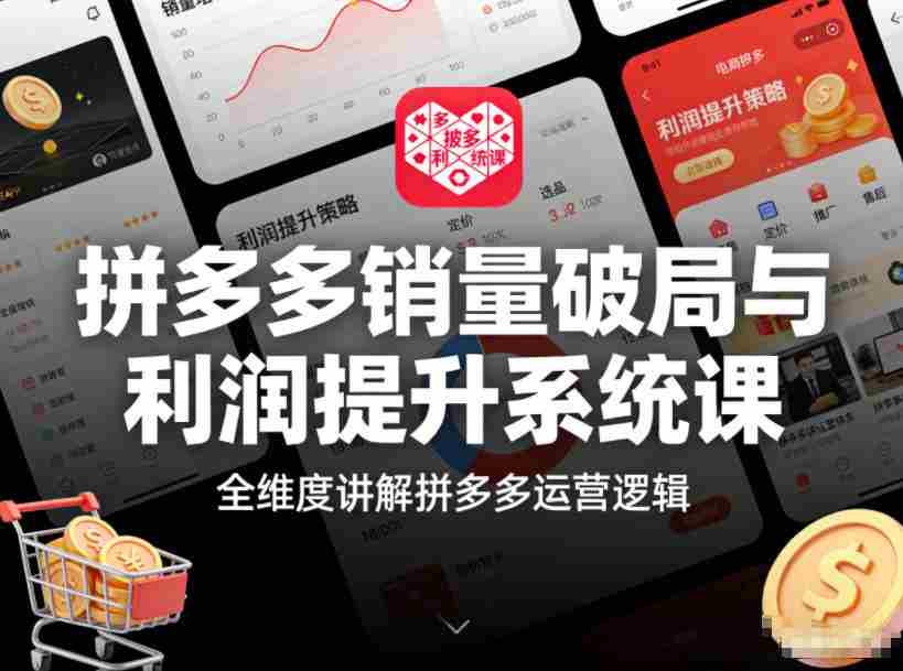 拼多多销量破局与利润提升系统课，全维度讲解拼多多运营逻辑