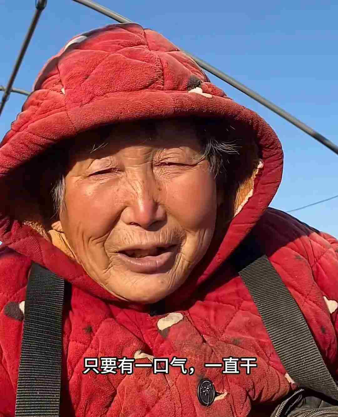 河南69岁“红薯奶奶”轮椅上创业30余年，一年收益200多万，每年发出的工人工资至少60万
