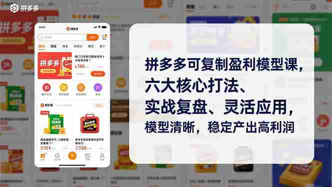 （16952期）拼多多可复制盈利模型课，六大核心打法、实战复盘、灵活应用，模型清晰，稳定产出高利润