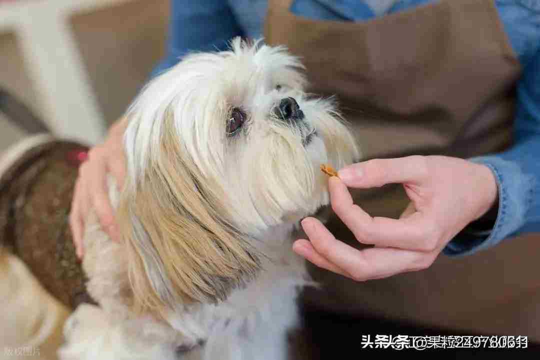 2026 年适合普通人的 8 个创业黄金项目：十五五开局之年的财富密码