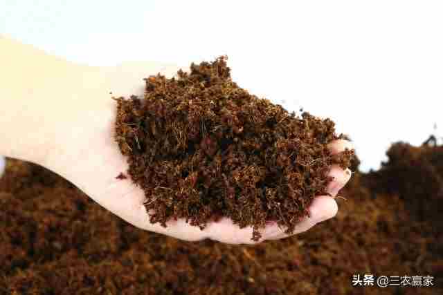 点土成金：不起眼的创业项目，一年赚个30万，不用外出，在家能干