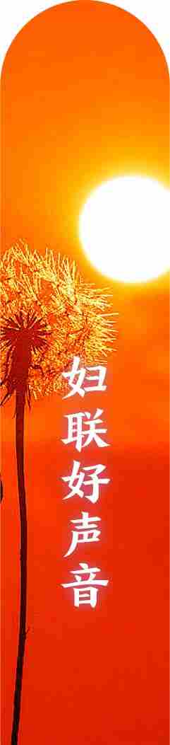 80亩果园年入百万，技术却免费分享！这对“学霸”夫妻的创业路为何不一样丨家国情·奋斗正当时