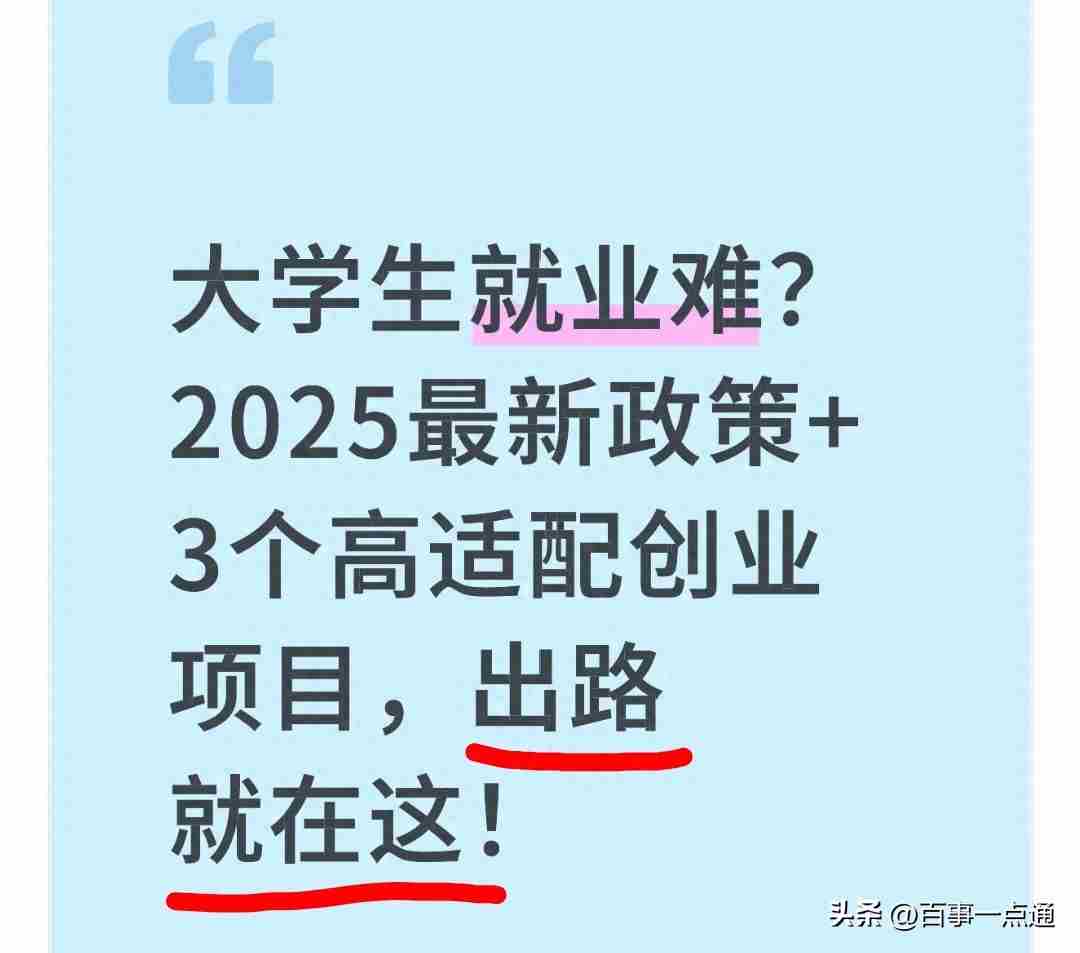 大学生就业难？2025最新政策+3个高适配创业项目，出路就在这！