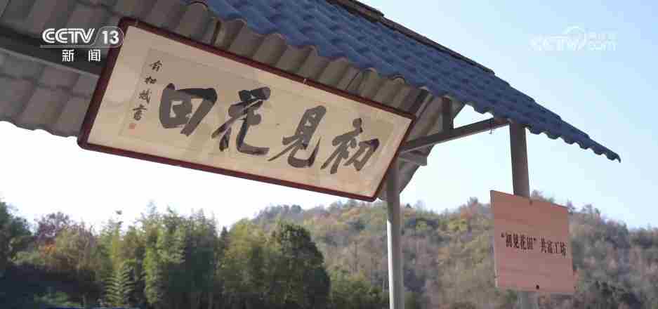 让“闲田”变“忙田” 农村创业新力量让冬日乡村“火”起来