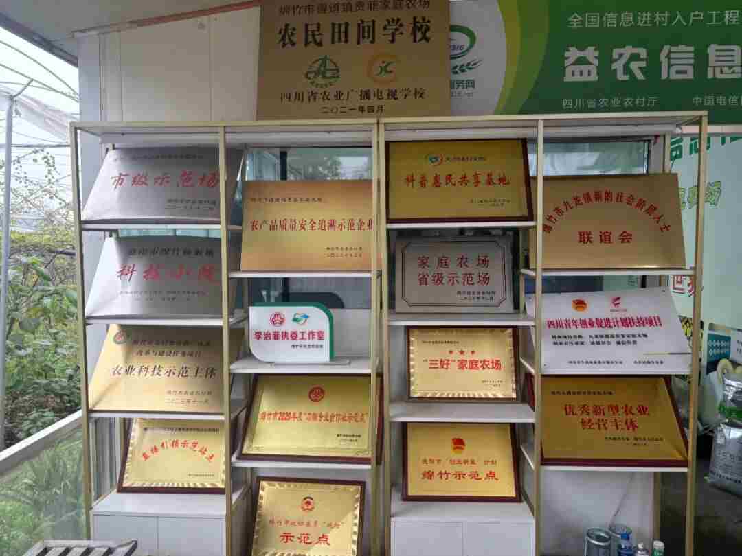 80亩果园年入百万，技术却免费分享！这对“学霸”夫妻的创业路为何不一样丨家国情·奋斗正当时
