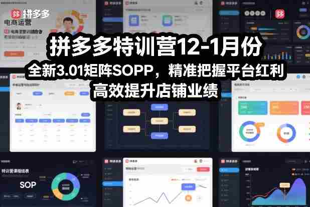 拼多多特训营12-1月份，全新3.01矩阵Sop，精准把握平台红利，高效提升店铺业绩