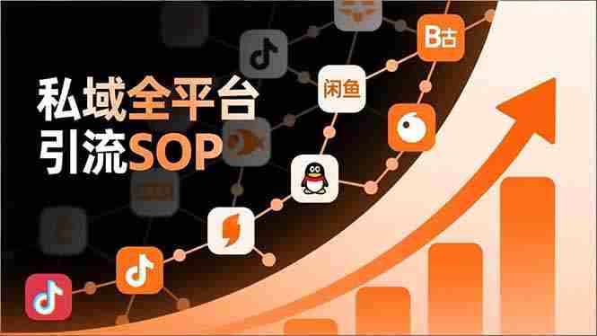 （16994期）私域全平台引流SOP，抖音/快手/小红书/微信/QQ/B站/闲鱼等，技术合集，高效转化公域流量