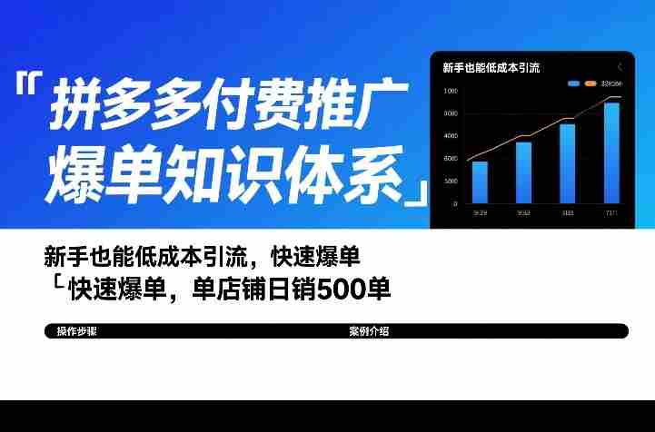 拼多多付费推广爆单知识体系，新手也能低成本引流，快速爆单，单店铺日销500单