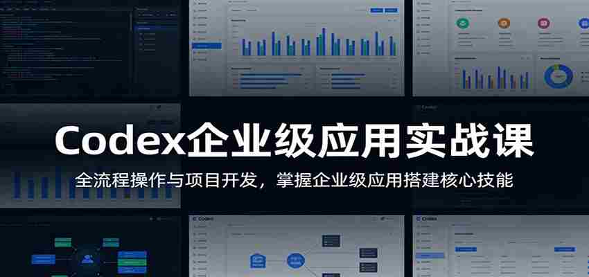 Codex企业级应用实战课：全流程操作与项目开发，掌握企业级应用搭建核心技能