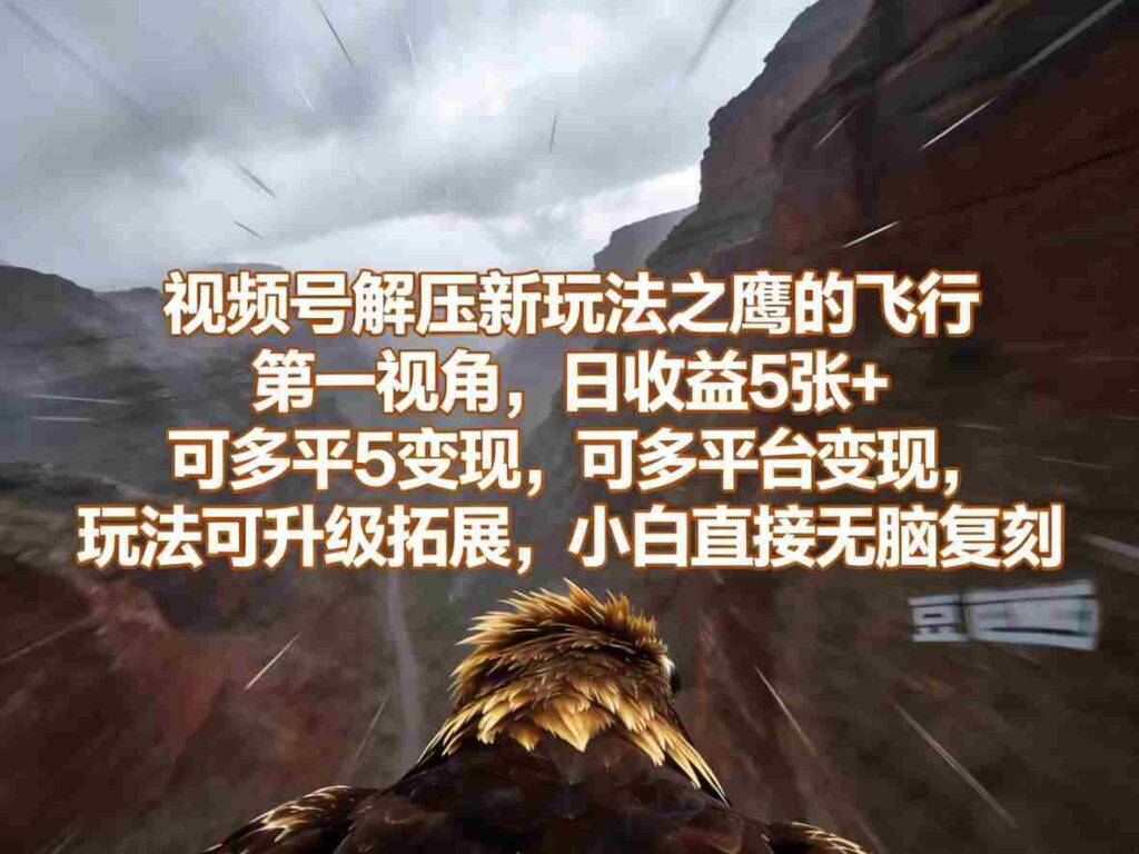 视频号解压新玩法之鹰的飞行第一视角，日收益5张+，可多平台变现，玩法可升级拓展，小白直接无脑复刻