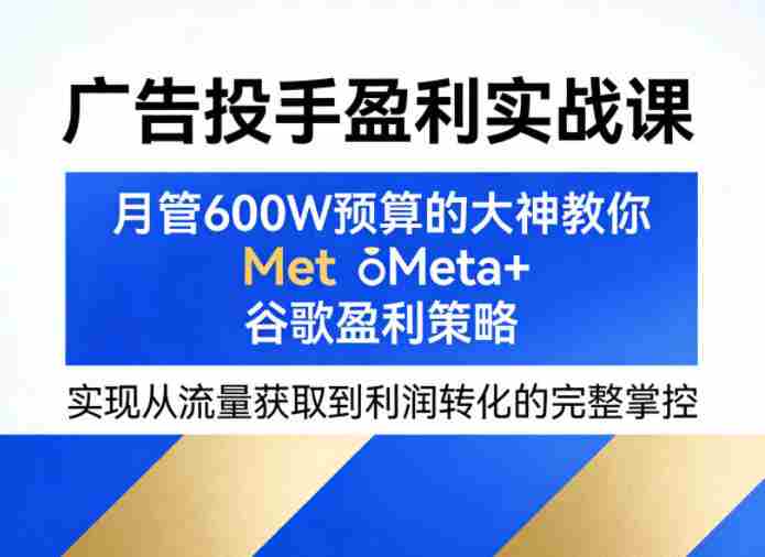 广告投手盈利实战课，月管600W预算的大神教你Meta+谷歌盈利策略，实现从流量获取到利润转化的完整掌控