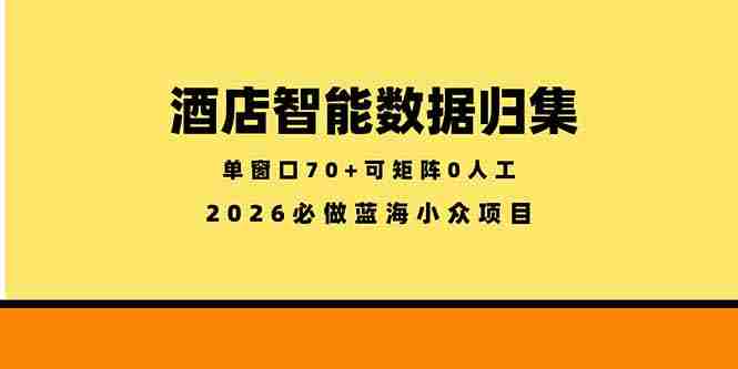 （18500期）酒店智能数据归集，小众蓝海已经稳定半年之久，单窗口70+零成本矩阵开干