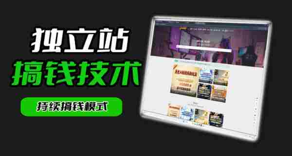 干货来袭！麦子甜带你吃透独立站｜从搭建到引流一站式教学《独立站》第一期