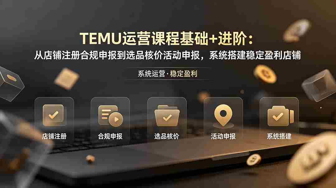 （19081期）TEMU运营课程（基础+进阶）：从店铺注册合规申报到选品核价活动申报，系统搭建稳定盈利店铺
