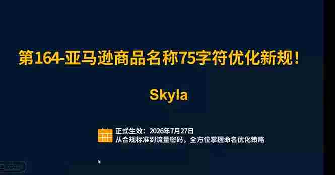 （19352期）亚马逊跨境实战课：全品类选品逻辑｜SP/SB/SD广告精细化｜新品打爆旺季爆单全套运营教程
