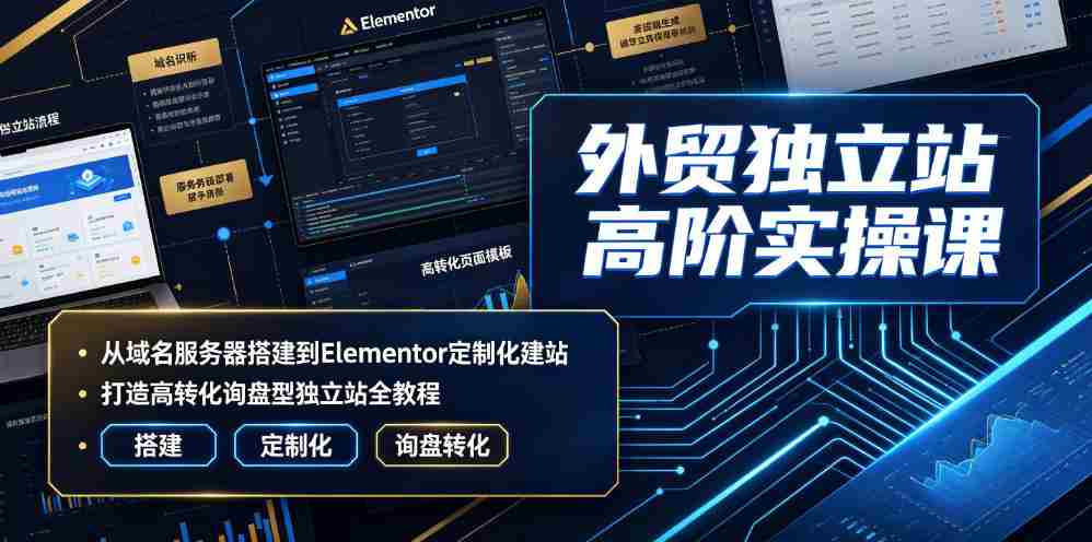 外贸独立站高阶实操课｜从域名服务器搭建到Elementor定制化建站，打造高转化询盘型独立站全教程