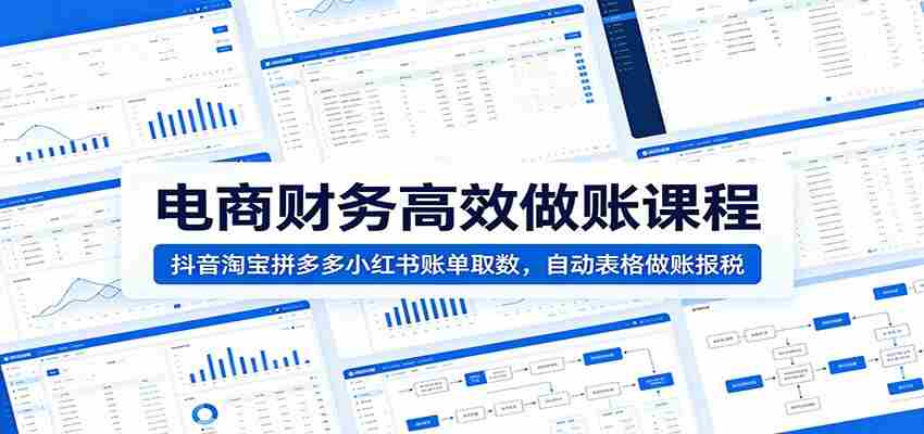 电商财务高效做账课程：抖音淘宝拼多多小红书账单取数，自动表格做账报税