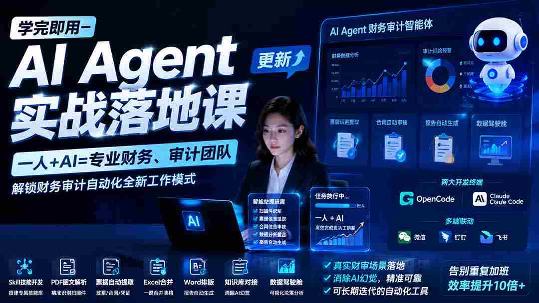 （19740期）学完即用—AI Agent实战落地课-更新：一人+AI=专业财务、审计团队，解锁财务审计自动化全新工作模式