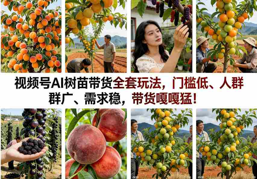 视频号AI树苗带货全套玩法，门槛低、人群广、需求稳，带货嘎嘎猛！（更新0908）