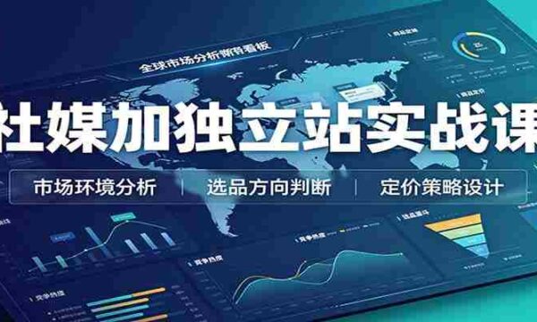 社媒加独立站实战课：市场环境选品定价，社媒运营建站，私域网红营销教学