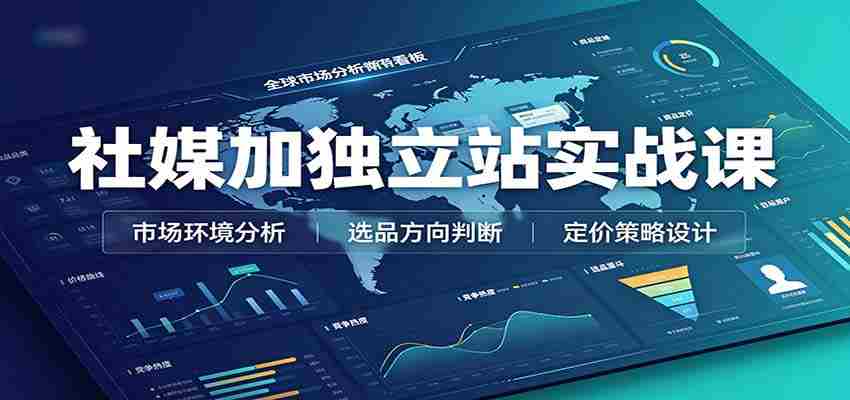 社媒加独立站实战课：市场环境选品定价，社媒运营建站，私域网红营销教学