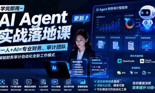 即刻上手】AI智能代理实战教程-0924全新升级：单兵作战，与AI共筑高效财务审计团队，探索自动化办公新模式