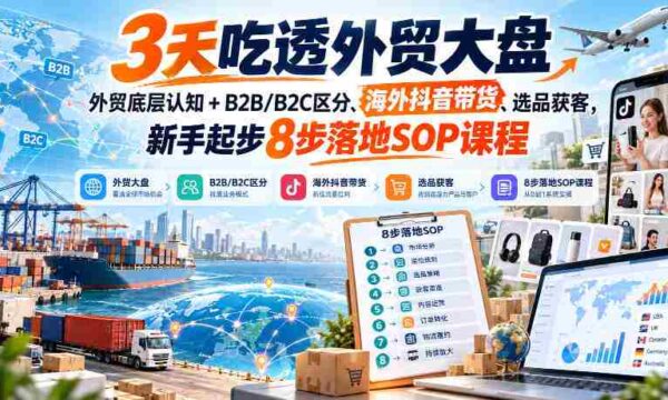 快速掌握外贸全貌：新手入门8招，深度解析B2B/B2C差异、抖音跨境销售、精准选品策略