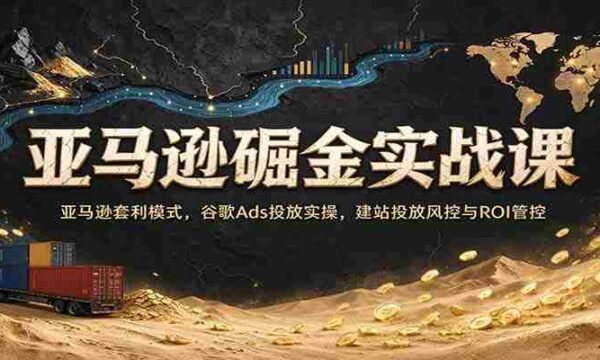 探索亚马逊商机秘籍：深入套利策略，实操谷歌广告投放，网站营销风险控制与收益最大化指南