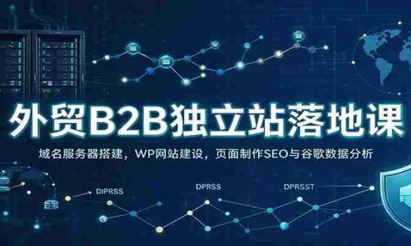 外贸B2B独立站落地课：域名服务器搭建，WP网站建设，页面制作SEO与谷歌数据分析