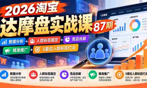 2026淘宝达摩盘实战课87期：数据分析+人群标签圈定+竞品拆解+精准推广+5套拉人群标签打法