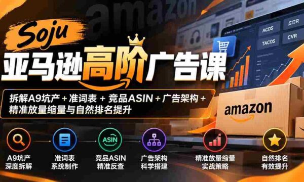 亚马逊烈酒广告精讲：揭秘A9算法优化、精准关键词、竞品分析、广告布局与流量调控技巧
