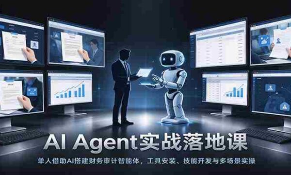 独闯AI财务审计智能体构建之旅：一己之力，实现工具部署、技能提升及实战演练