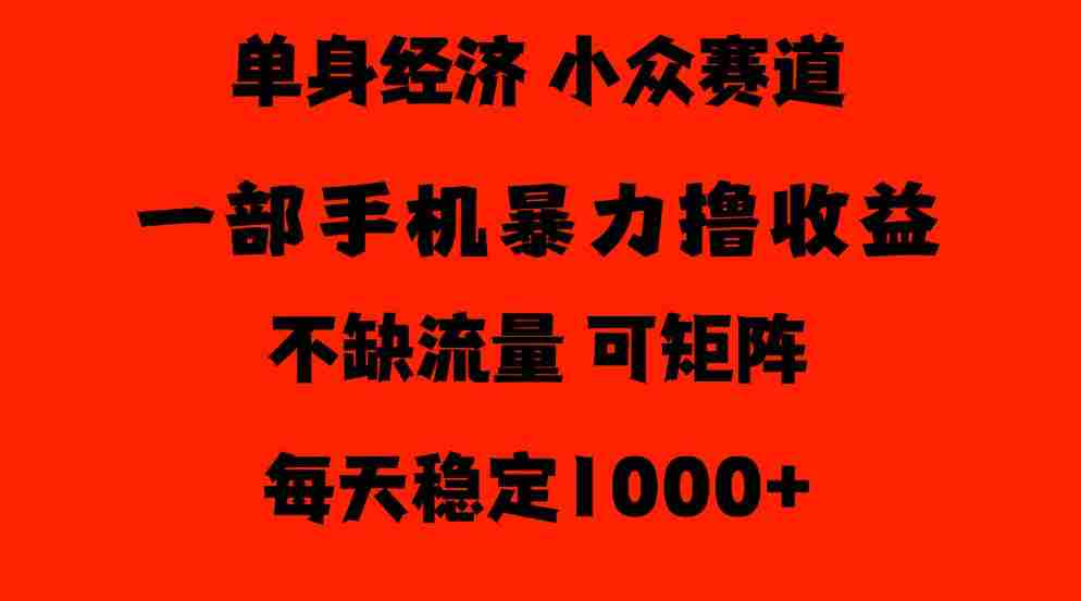 揭秘：长达26年独闯单身经济市场，日均收益500至1000元，流量充沛，冷门领域门槛低，新手也能轻松驾驭