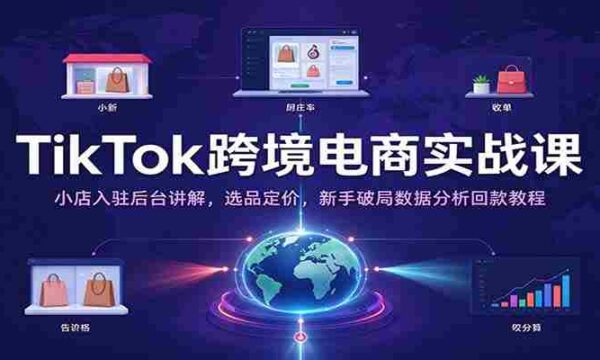TikTok跨境电商实战课：小店入驻后台讲解，选品定价，新手破局数据分析回款教程