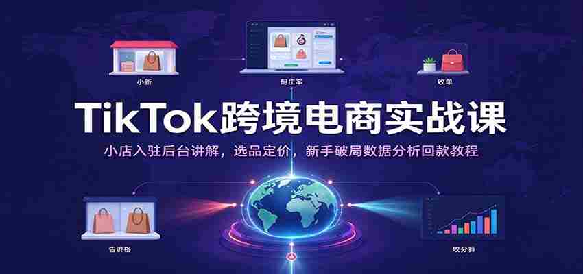 TikTok跨境电商实战课：小店入驻后台讲解，选品定价，新手破局数据分析回款教程