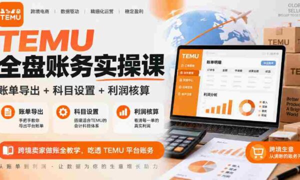 全面掌握TEMU财务实操技能：账单导出、科目配置、利润计算详解，跨境商家必看TEMU平台财务操作指南