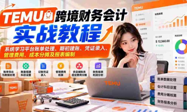 TEMU跨境财务会计实战教程：系统学习平台账单处理、期初建账、凭证录入、管理费用、成本分摊及报表编制