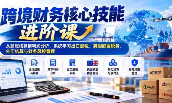 跨越财务难关，精通国际财税：深度解析建账到盈利，全面掌握出口退税、英欧税务、外汇操作及风险管控技巧