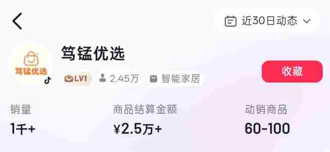 无需实拍也能做好抖音车载带货项目，收益非常稳定，每天坚持发就可以！